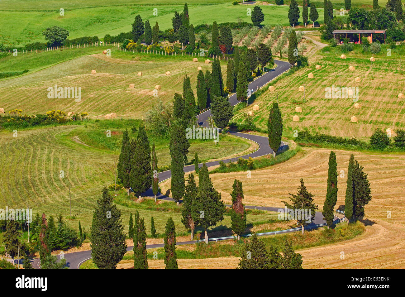 tuscany-landscape-cypres-trees-hi-res-stock-photography-and-images-alamy