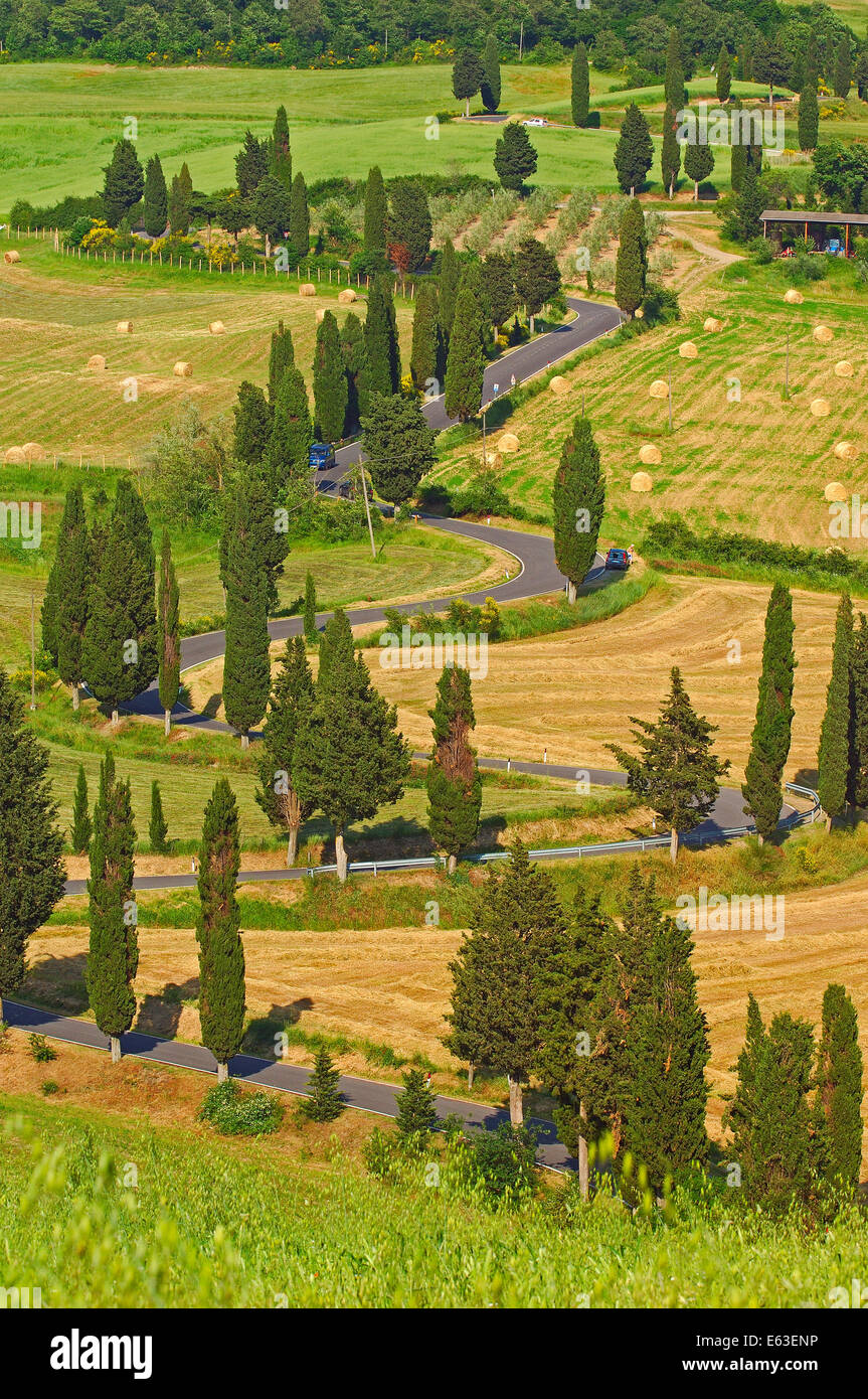 val-d-orcia-orcia-valley-pienza-road-and-cypress-trees-road-from
