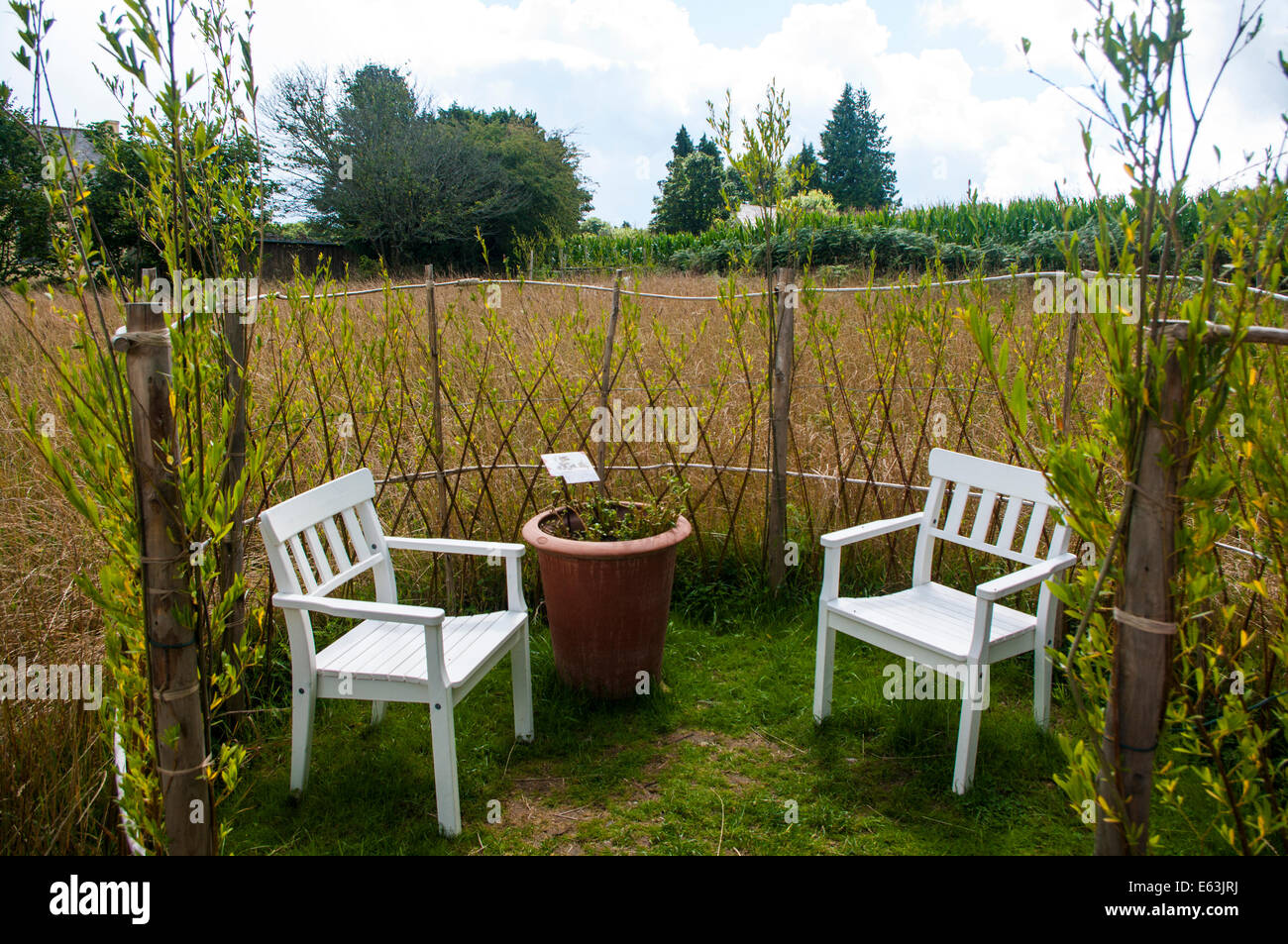 Willow seating area Stock Photo Alamy