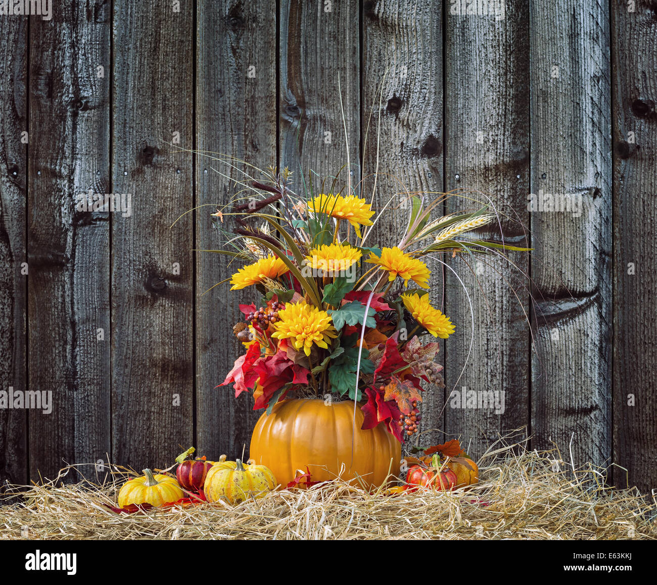 Pumpkin flower arrangement display on hay against rustic wooden background Stock Photo