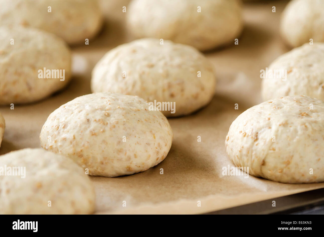 Oat bread buns rising on a baking sheet Stock Photo