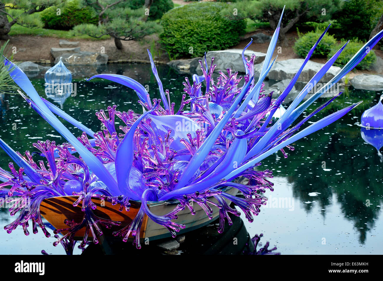 'Blue and Purple Boat' glass sculpture, by Dale Chihuly, Japanese Garden, Denver Botanic Gardens, Denver, Colorado USA Stock Photo