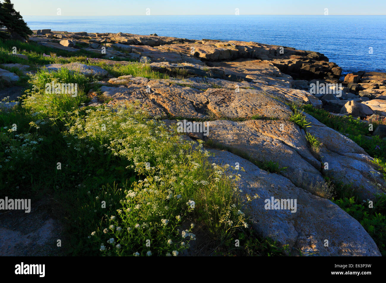 Schoodic Point, Schoodic Peninsula, Acadia National Park, Maine, USA