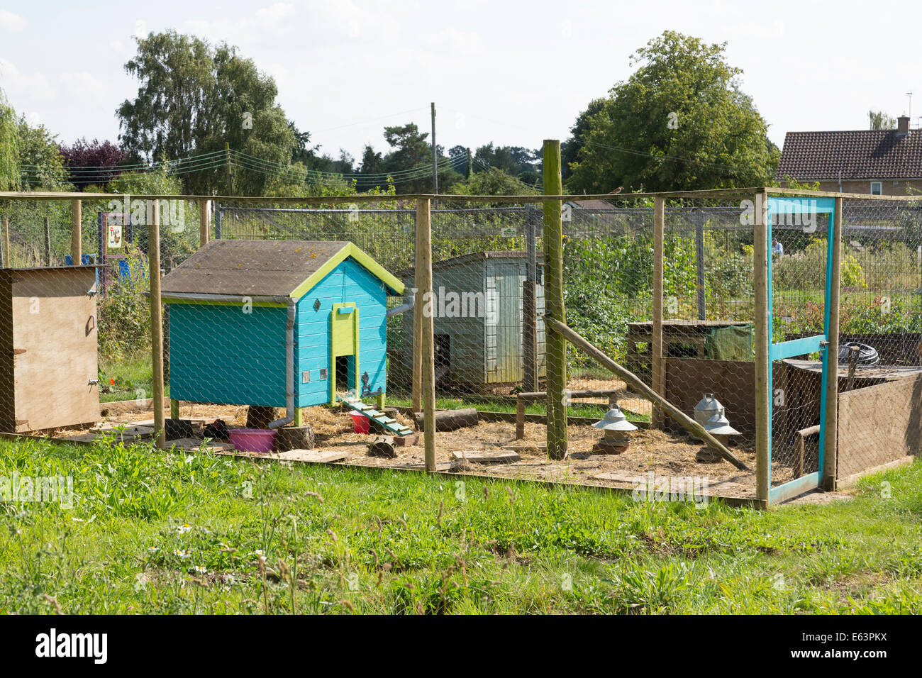 chicken run / pen in allotments at Walsham Le Willows, Suffolk, UK Stock Photo