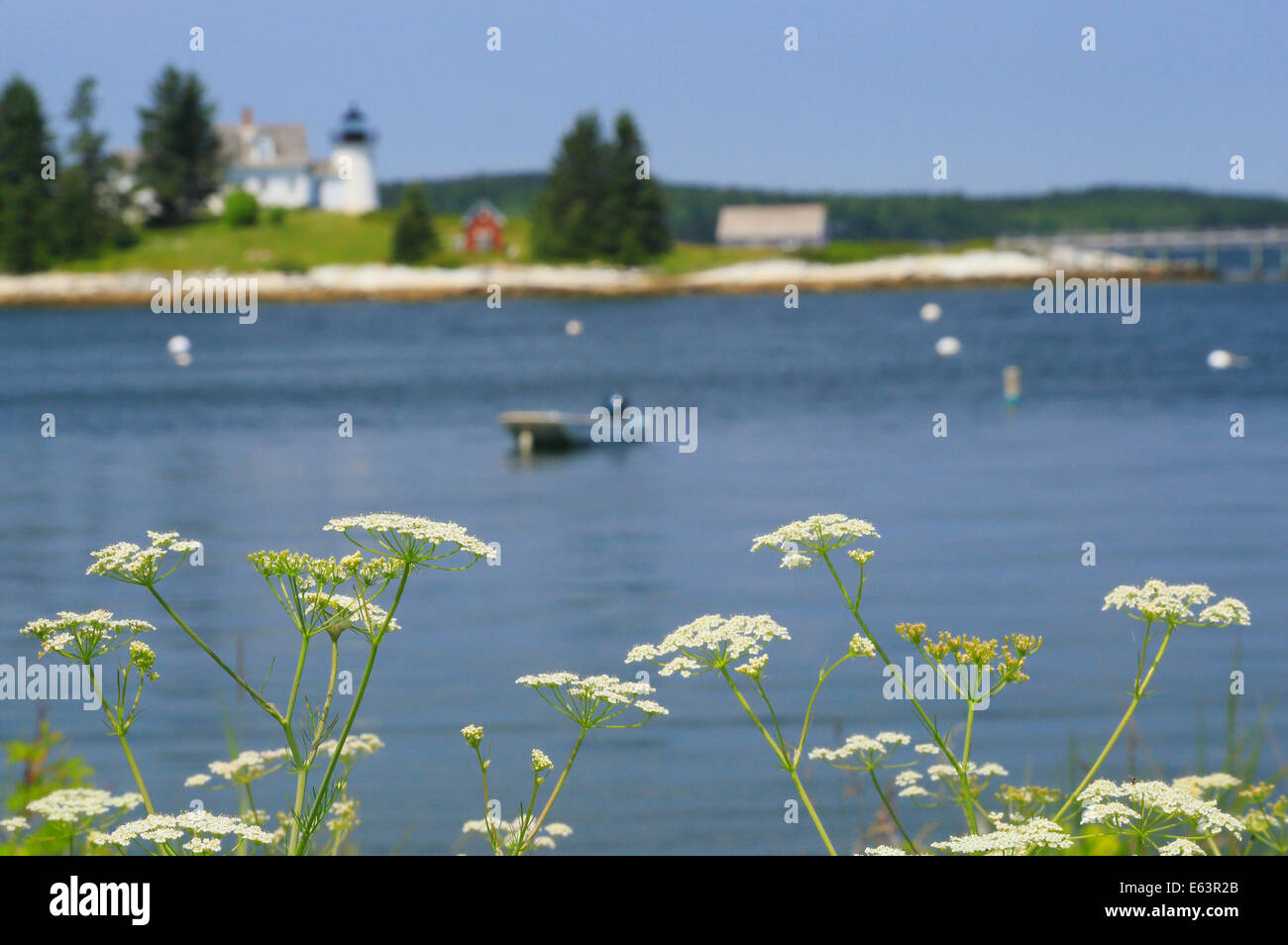 Pumpkin Island Lighthouse, Eggemoggin, Maine. USA Stock Photo