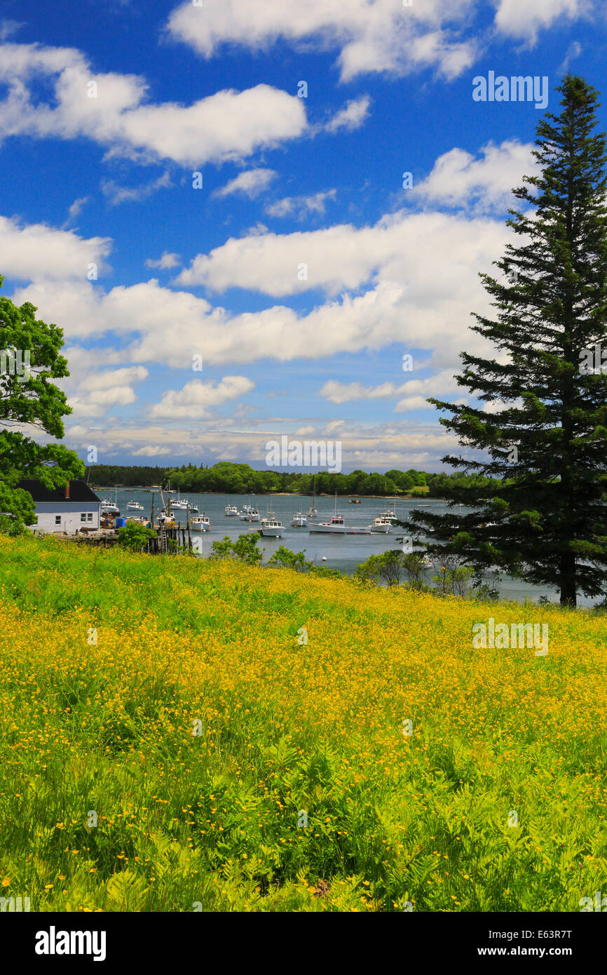 Friendship Maine High Resolution Stock Photography and Images Alamy