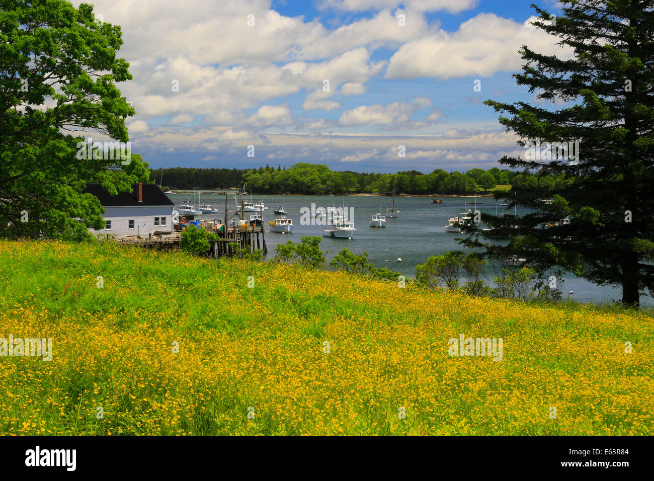 Friendship maine hires stock photography and images Alamy