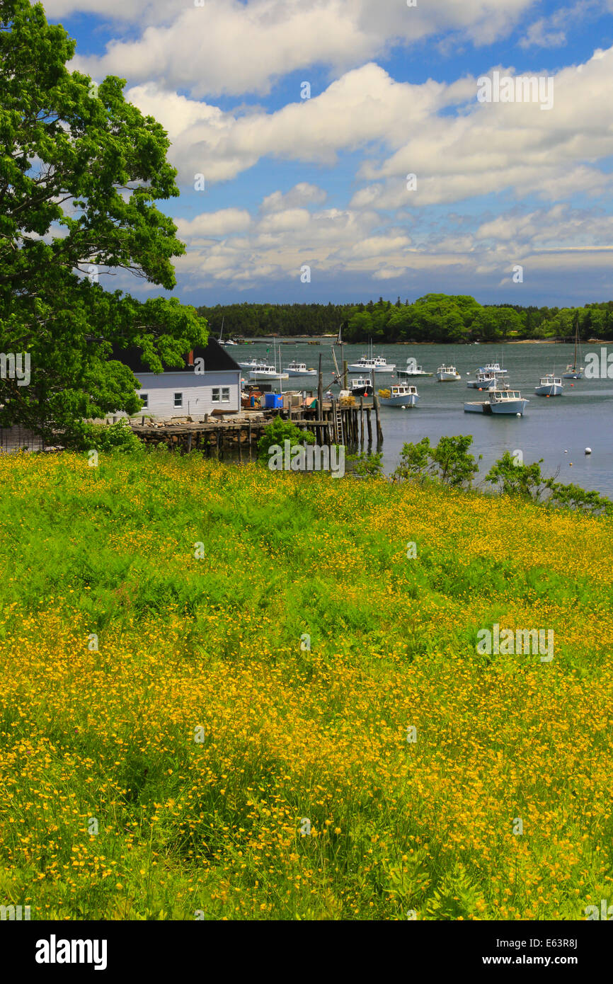 Friendship Harbor, Maine, USA Stock Photo Alamy