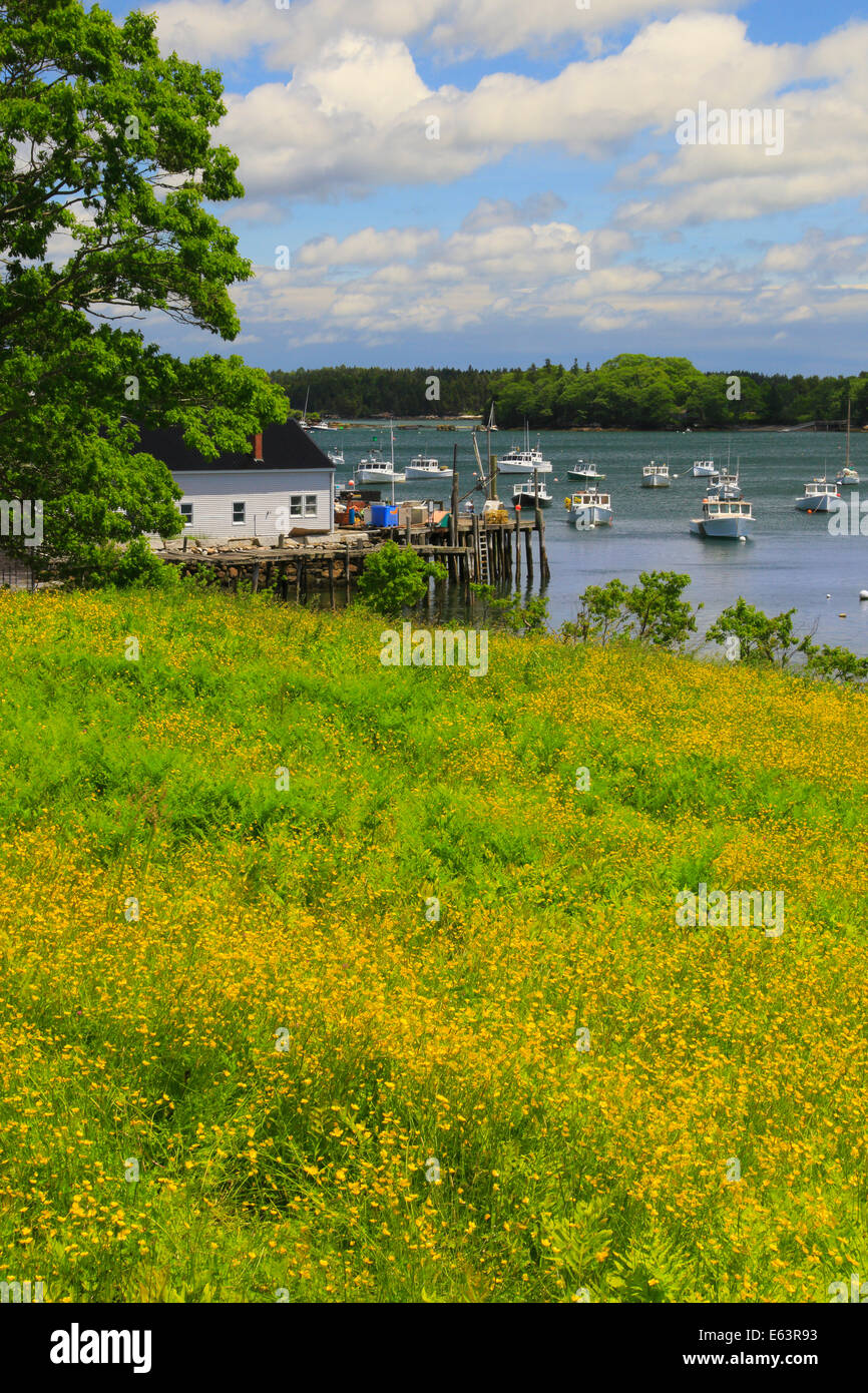 Friendship Harbor, Maine, USA Stock Photo - Alamy
