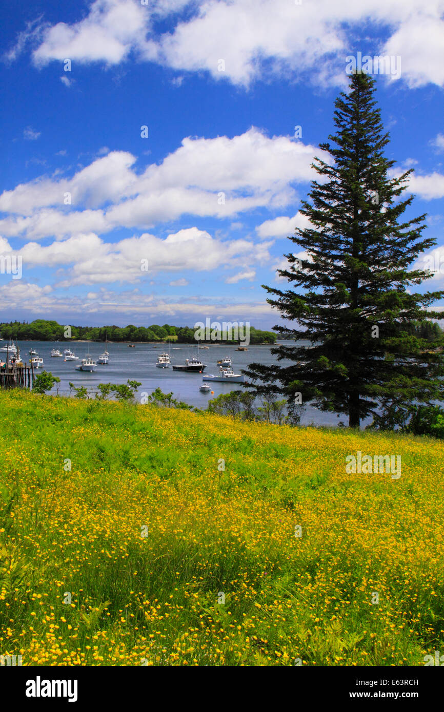 Friendship Harbor, Maine, USA Stock Photo Alamy