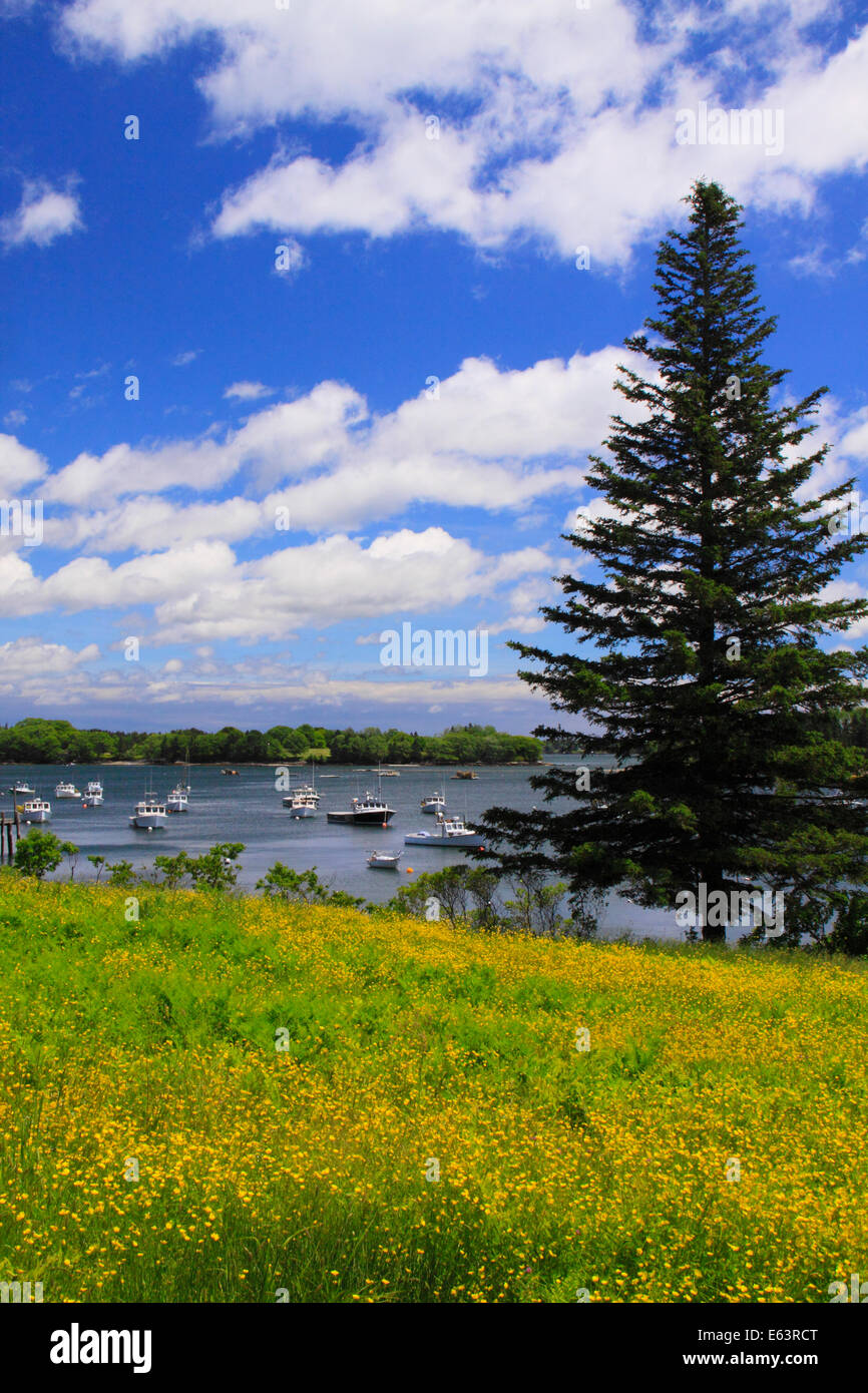 Friendship Maine High Resolution Stock Photography and Images Alamy