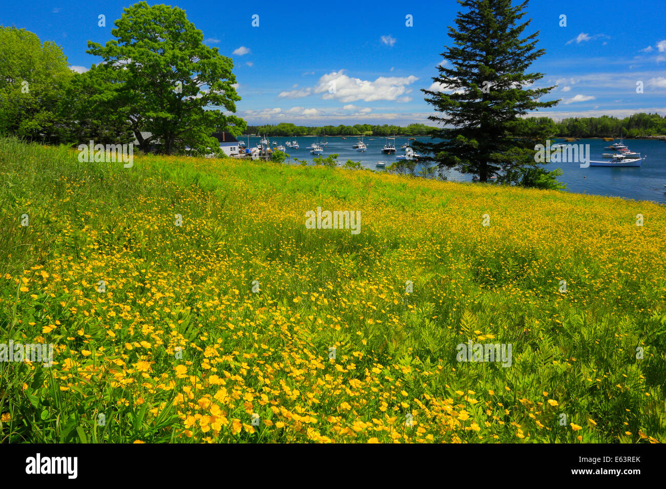 Friendship Harbor, Maine, USA Stock Photo Alamy