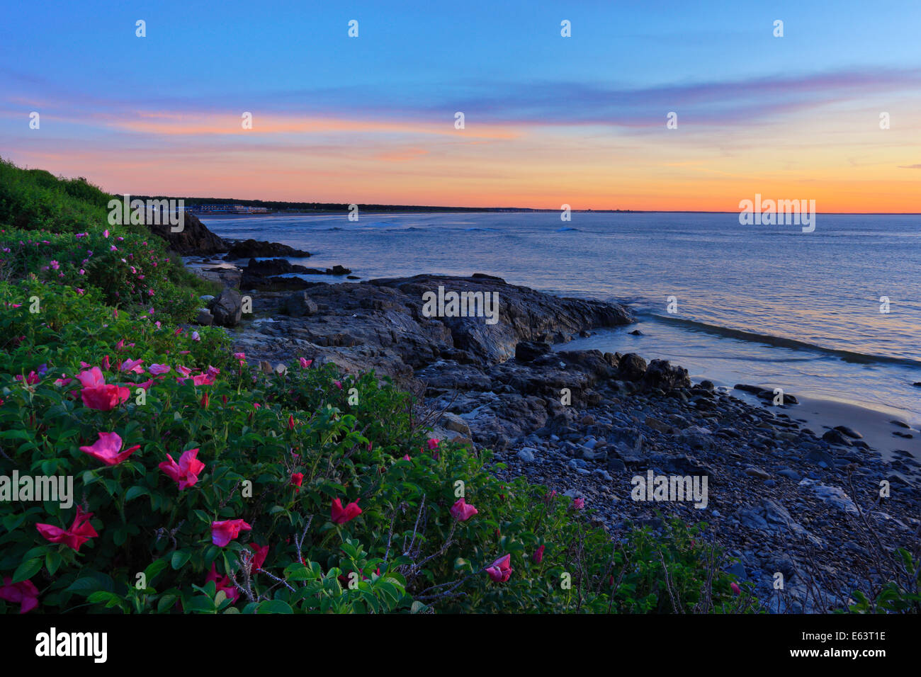 Sunrise, Marginal Way, Ogunquit, Maine, USA Stock Photo Alamy