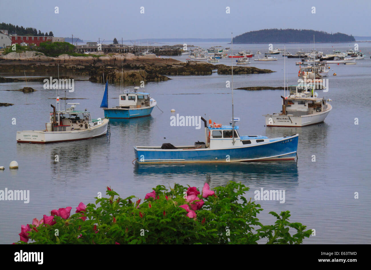 Stonington Harbor, Maine, USA Stock Photo Alamy