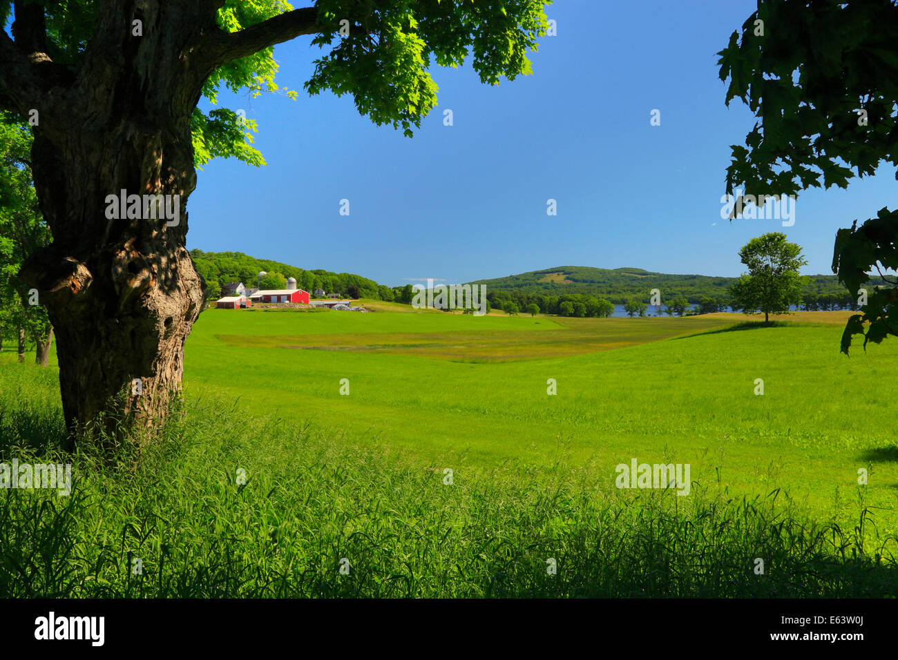 New england coastline red barn hi-res stock photography and images - Alamy
