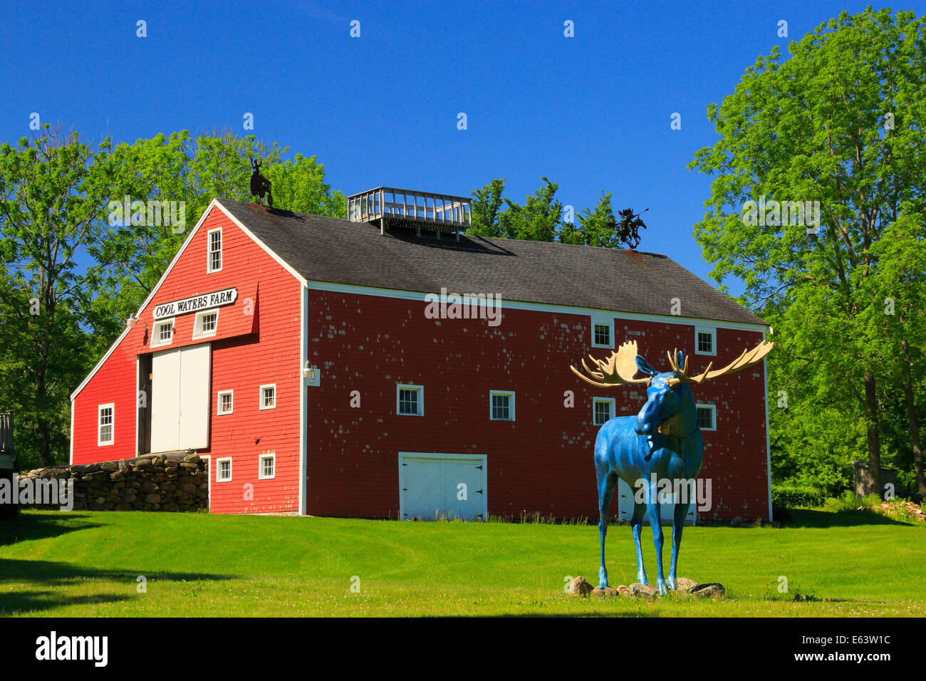 Blue Moose and Barn, Union, Maine, USA Stock Photo - Alamy
