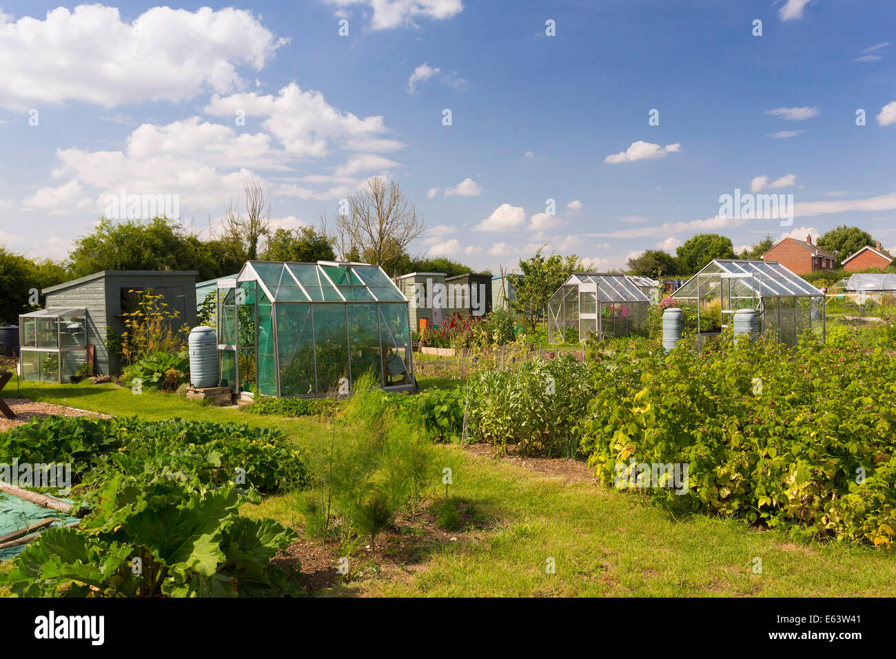allotment gardens at Walsham Le Willows, Suffolk, UK Stock Photo