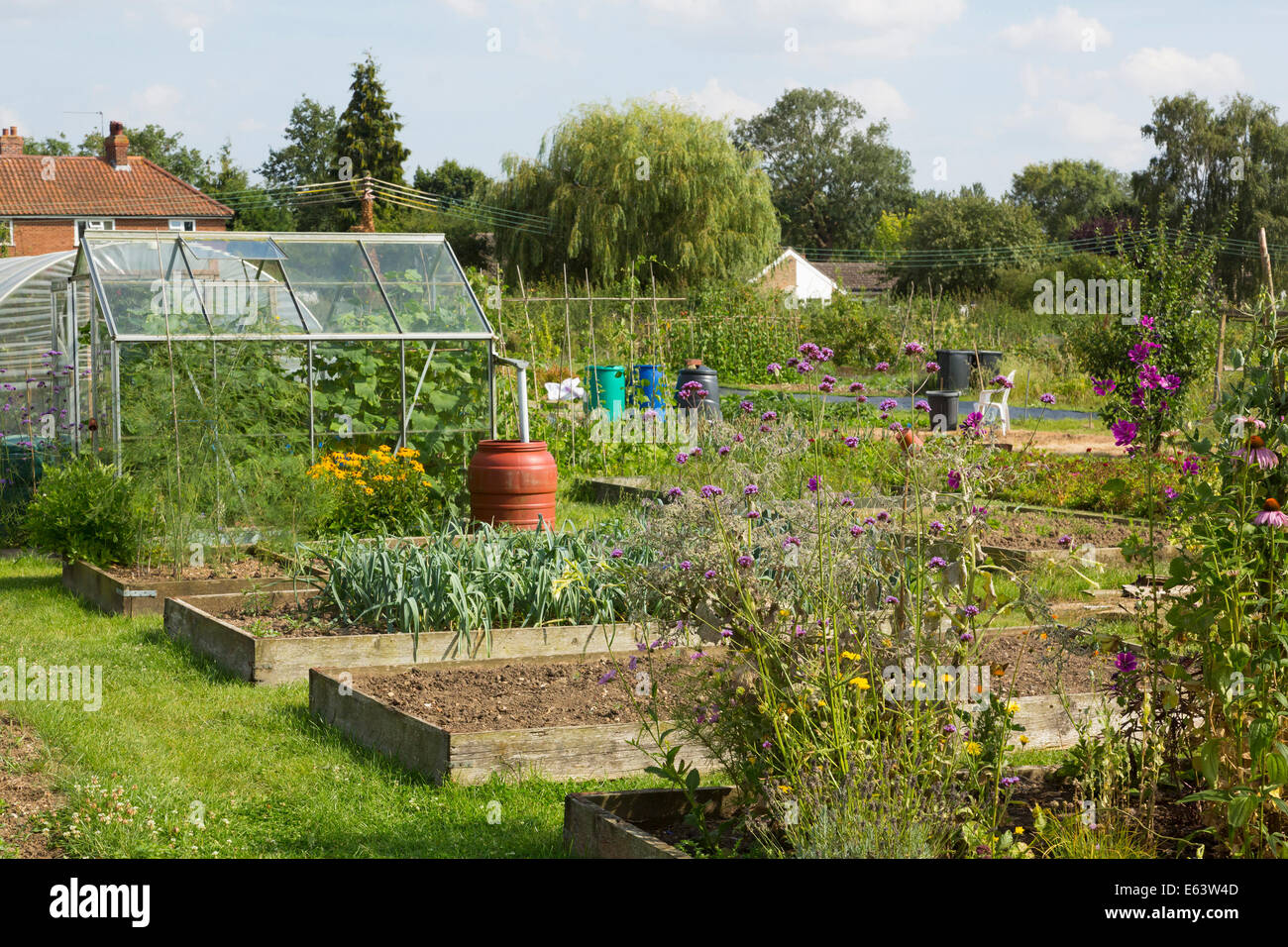 allotment gardens at Walsham Le Willows, Suffolk, UK Stock Photo