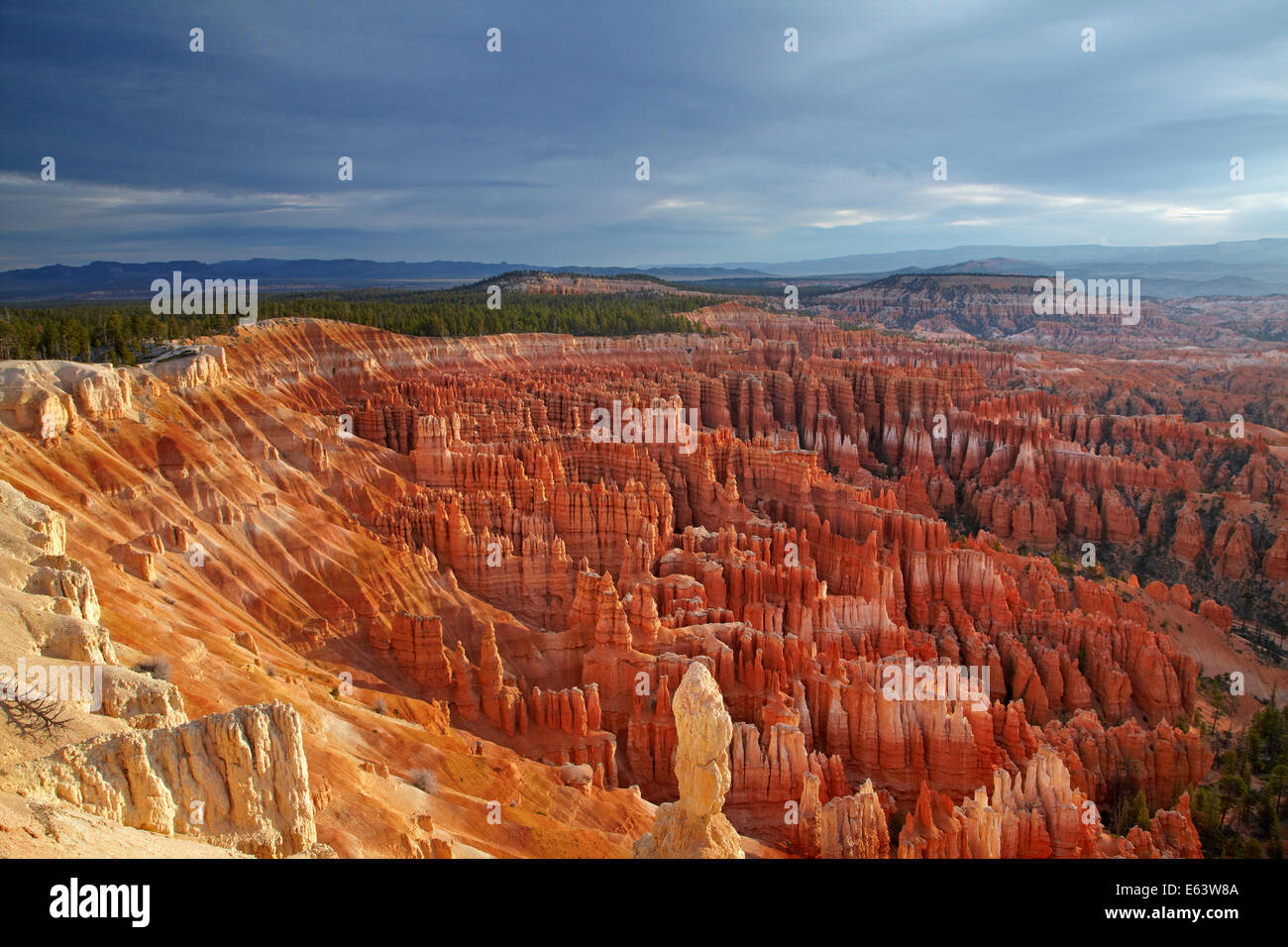 Hoodoos in Bryce Amphitheater, seen from Inspiration Point, Bryce Canyon National Park, Utah, USA Stock Photo