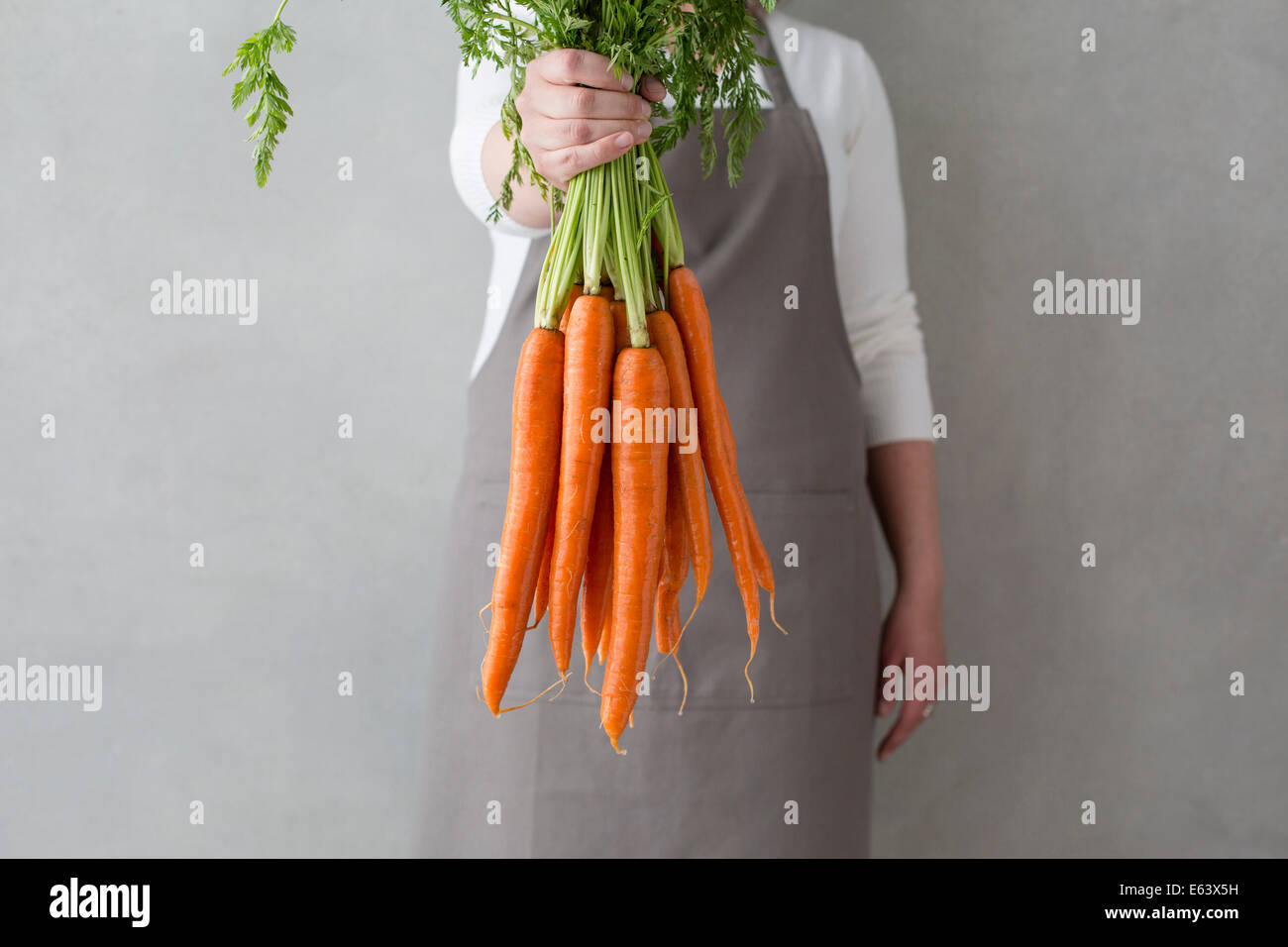 a woman wearing an apron holds out a fresh bunch of organic carrots Stock Photo