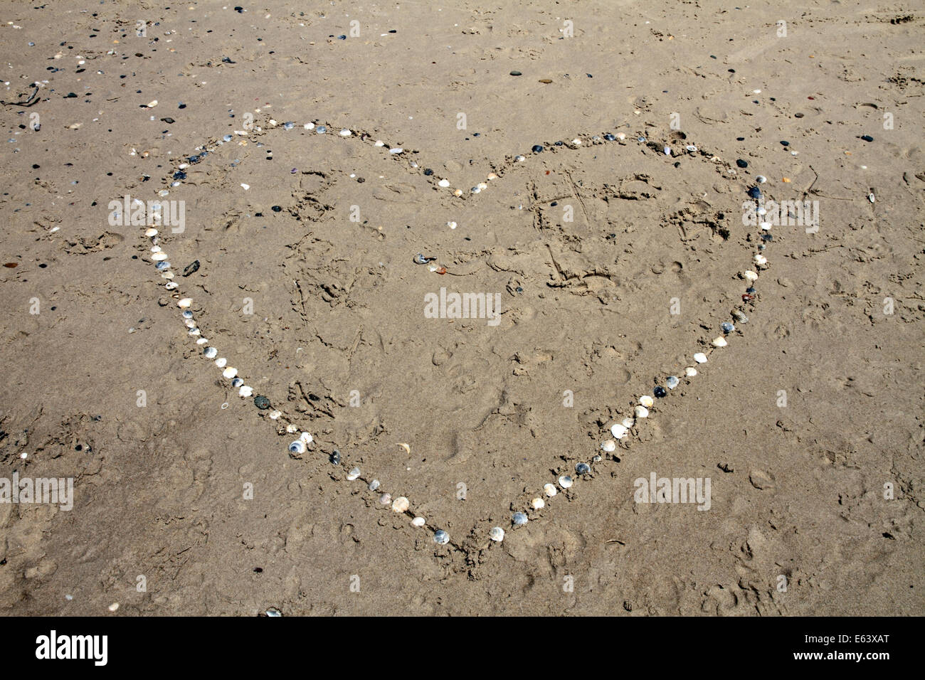 Love heart made with shells on the beach in Australia Stock Photo