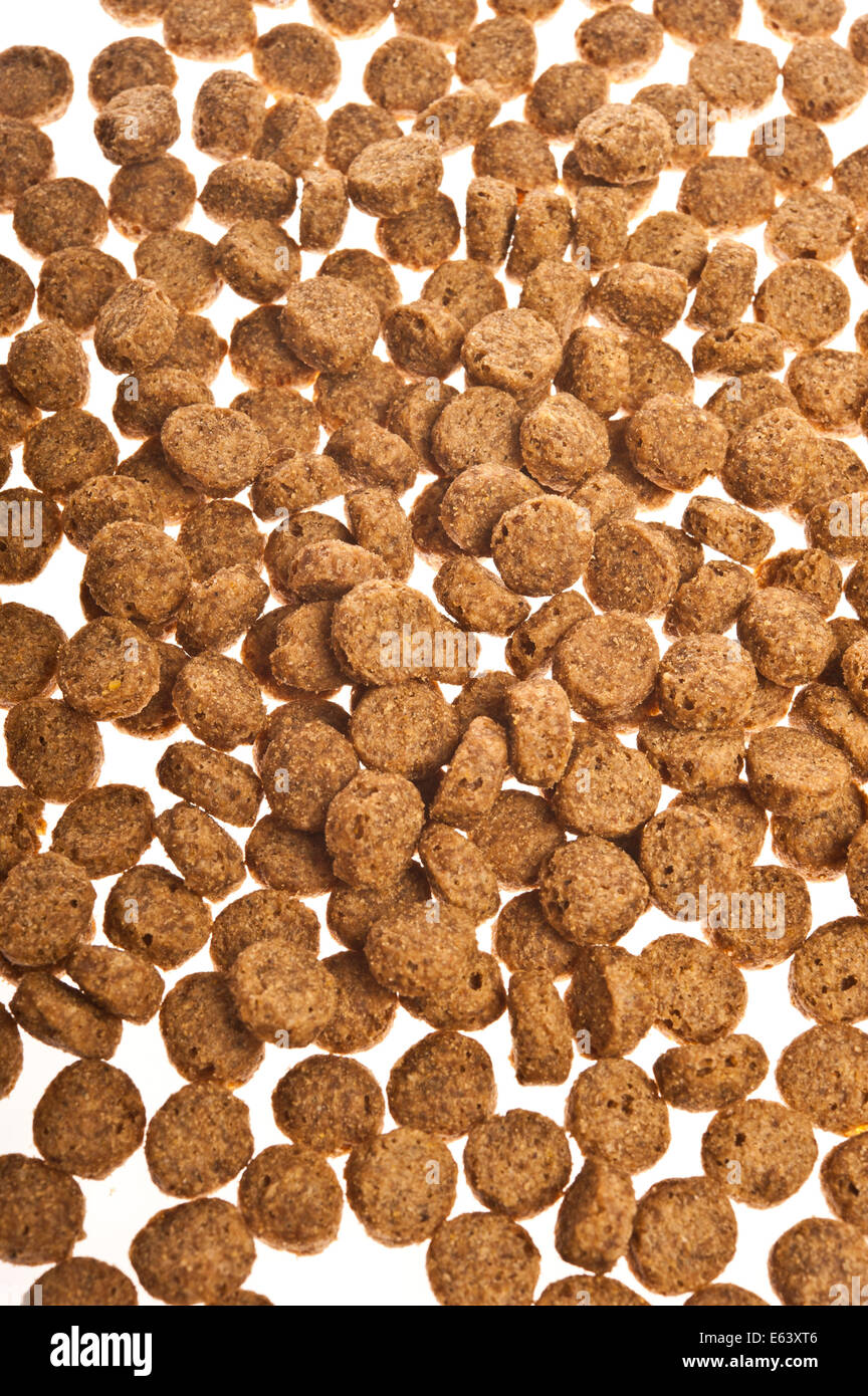 dry food for dog Stock Photo
