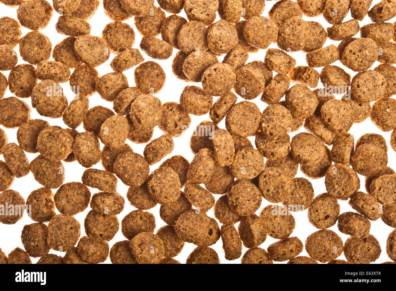 dry food for dog Stock Photo