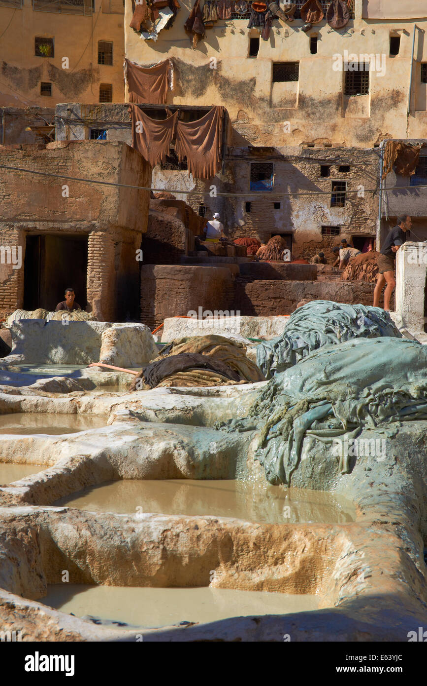 Fez, Fes, Traditional Tanneries with dying vats, The Chouwara, Chouara, Tannery, Old Town, Medina, UNESCO World Heritage Site, Stock Photo
