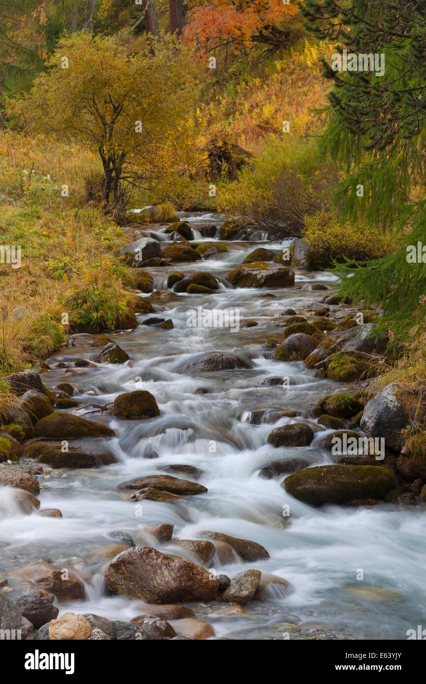 Clemgia River. Swiss National Park, Switzerland Stock Photo