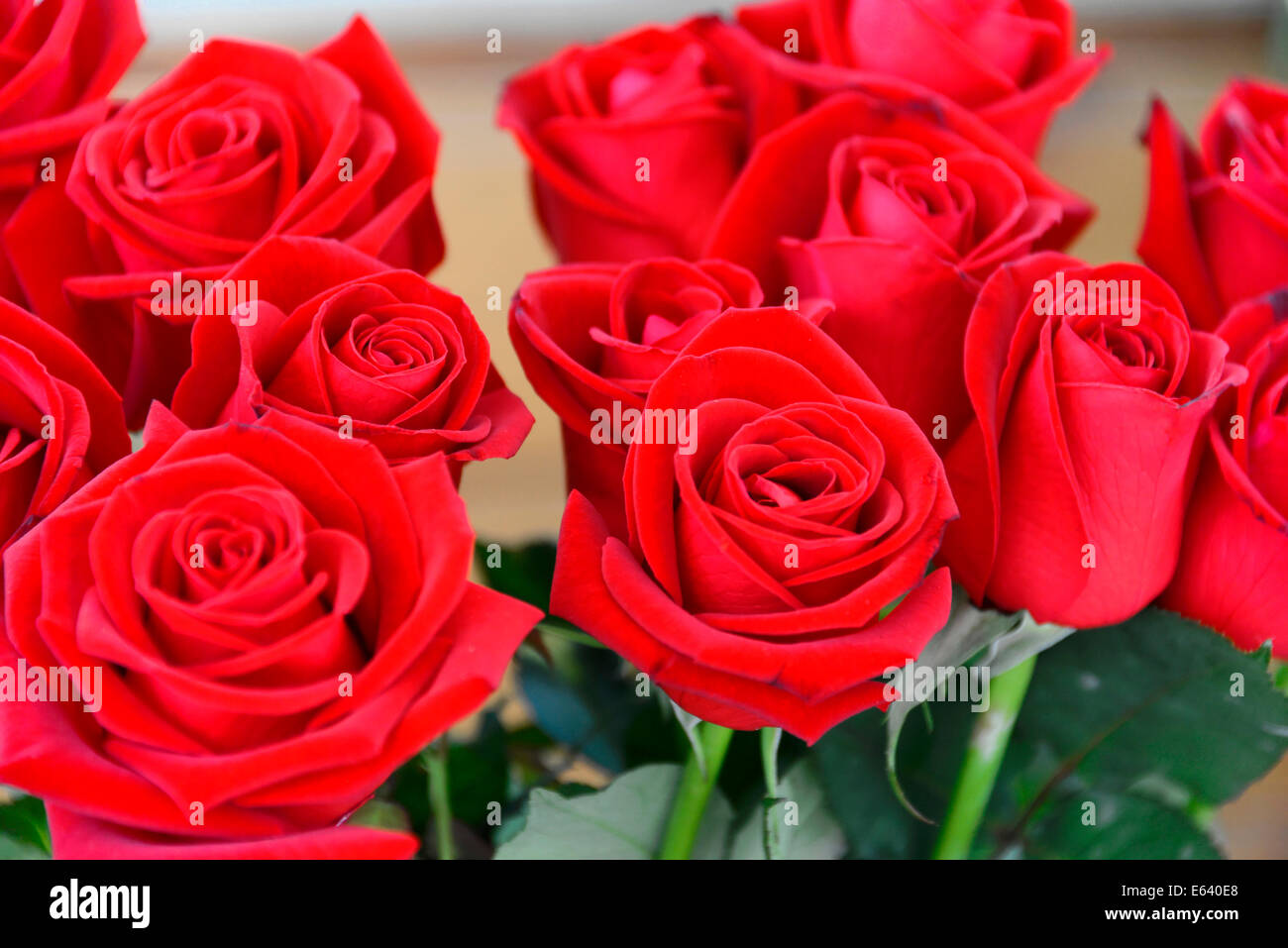 Roses, Spain Stock Photo Alamy