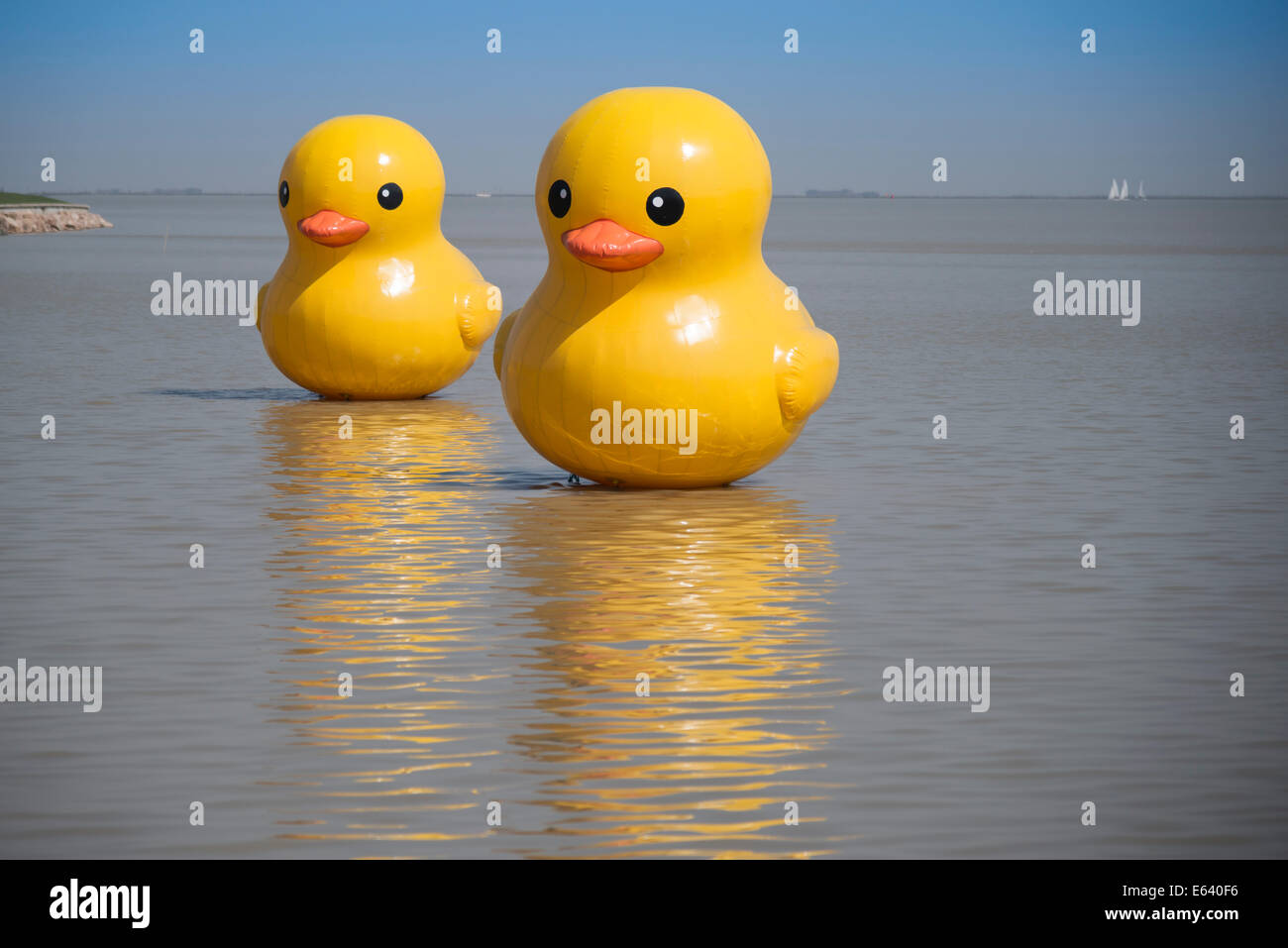 Rubber ducks on Lake Tai, Huzhou, Zhejiang, China Stock Photo