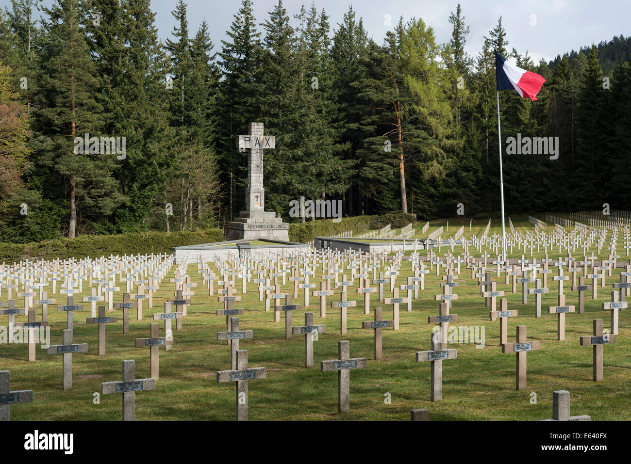 Stone crosses, French military cemetery, First World War, Col du Wettstein, Vosges, Orbey, Alsace, France Stock Photo