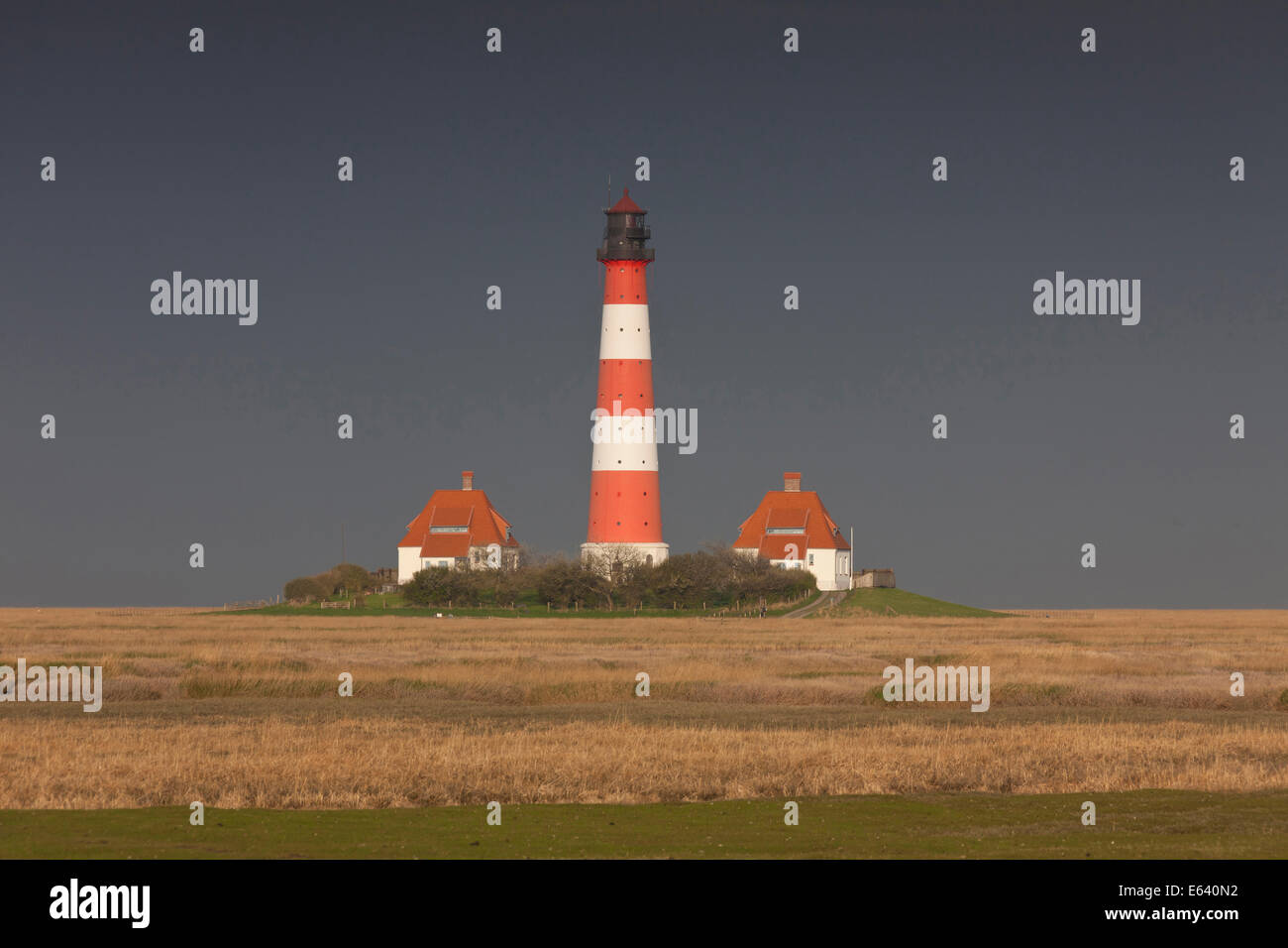 The lighthouse Westerheversand in salt marshes. Peninsula of Eiderstedt, North Frisia, Germany Stock Photo