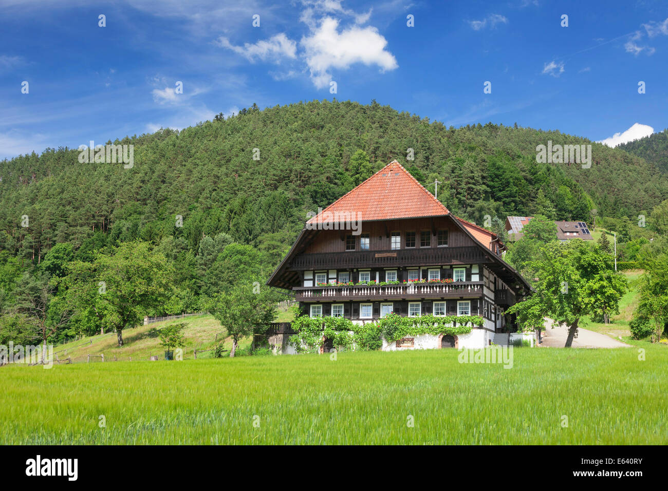 Black forest house hires stock photography and images Alamy
