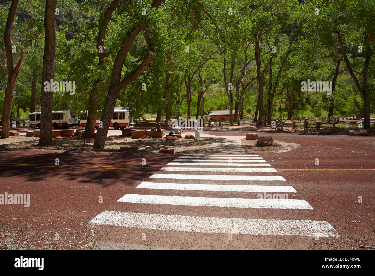 Pedestrian crossing to shuttle stop at Grotto picnic area, Zion Canyon Scenic Drive, Zion National Park, Utah, USA Stock Photo