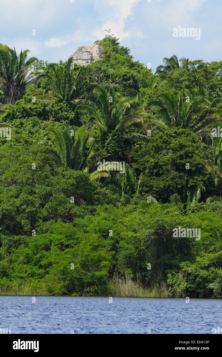 Lamanai Maya ruins among a tropical forest in Belize. Stock Photo