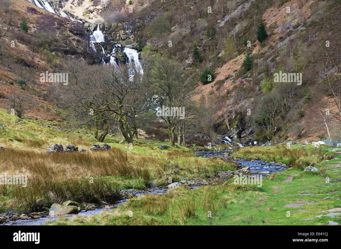 Rhiwargor, near Lake Vyrnwy, Montgomeryshire, Powys, Wales Stock Photo