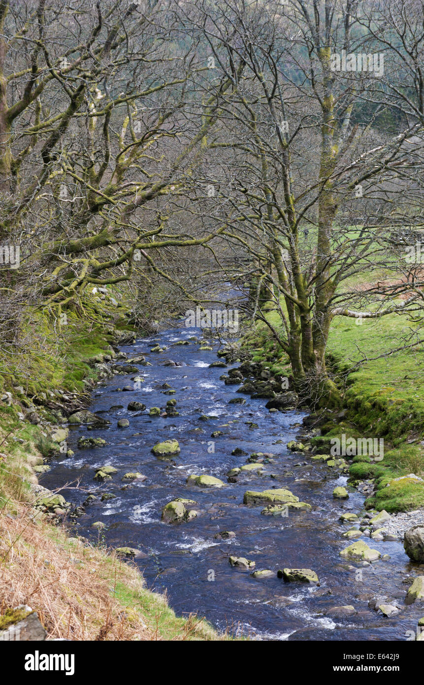 Rhiwargor, near Lake Vyrnwy, Montgomeryshire, Powys, Wales Stock Photo
