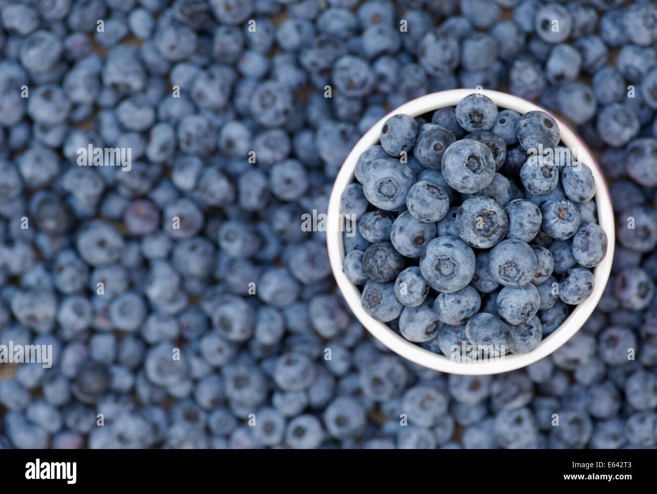 Pot of harvested blueberries Stock Photo Alamy