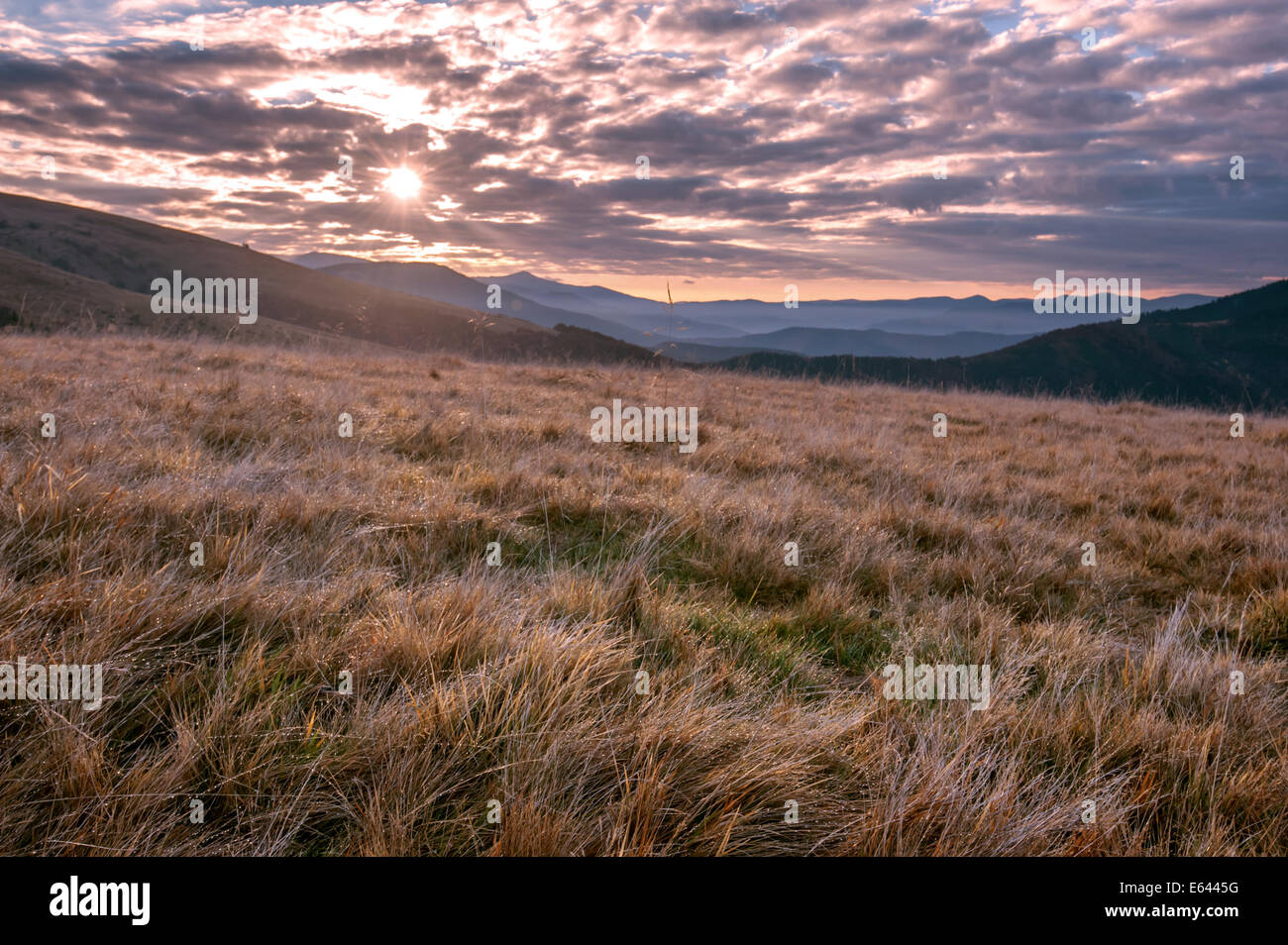 Carpathians mountain in summer time Stock Photo