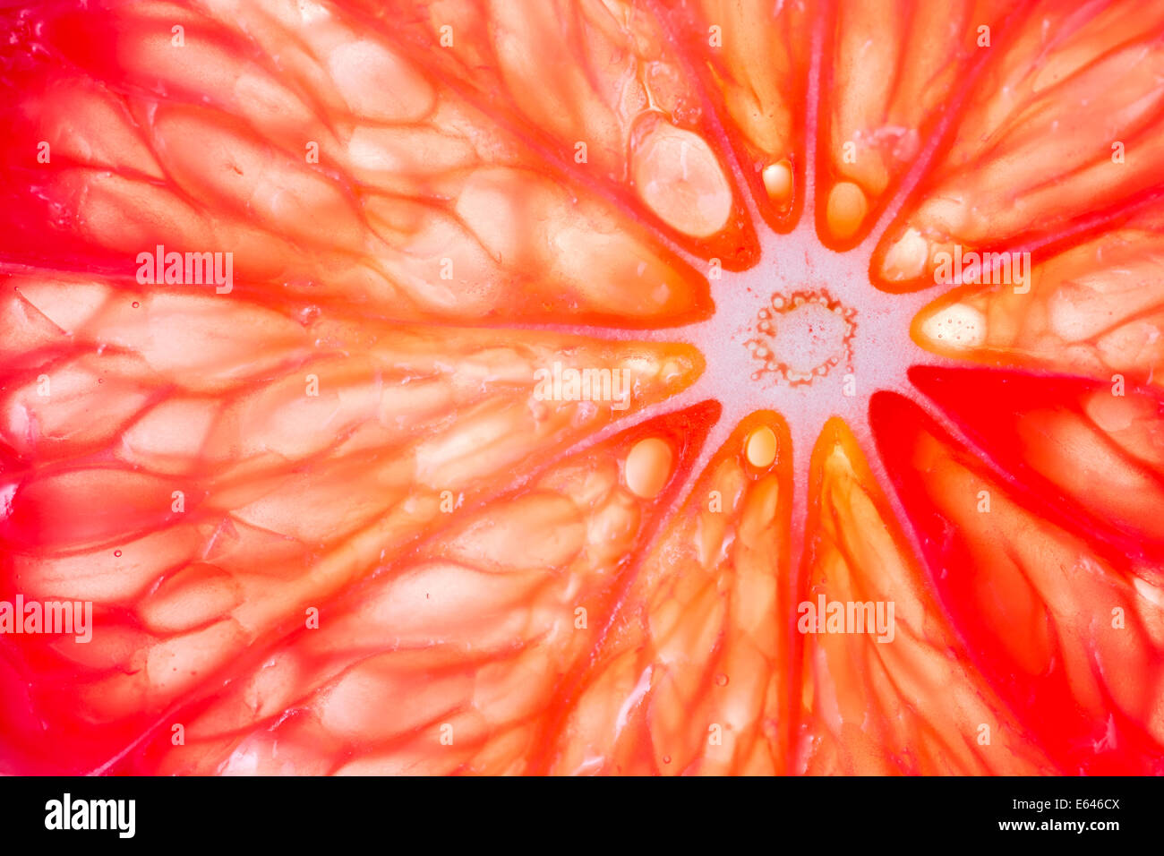 Slice of pink grapefruit (Citrus × paradisi) close up Stock Photo - Alamy