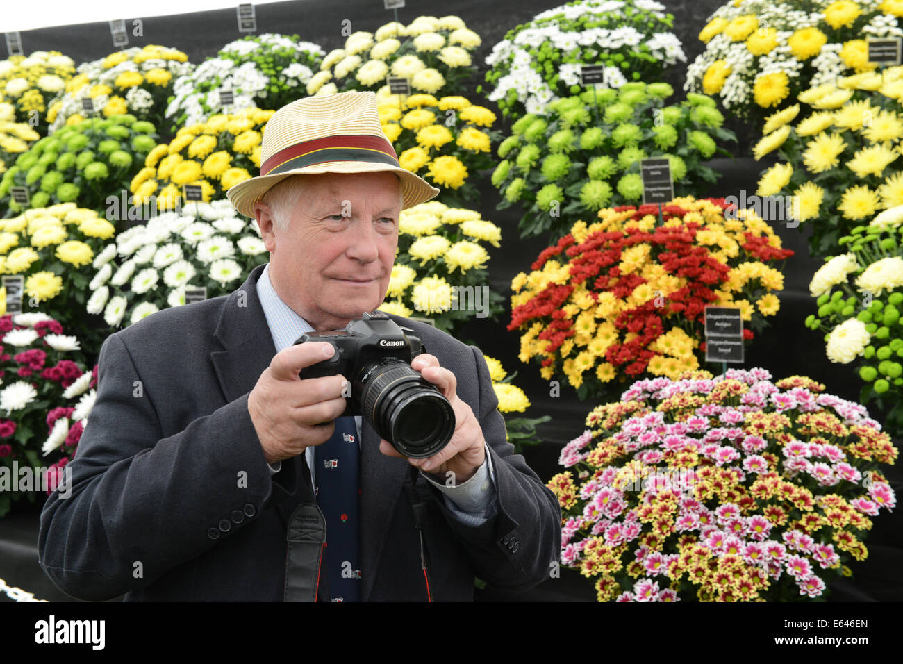 Flower Show vice chairman Ted Butcher taking photographs of the blooms. Shrewsbury Flower Show 2014 Stock Photo