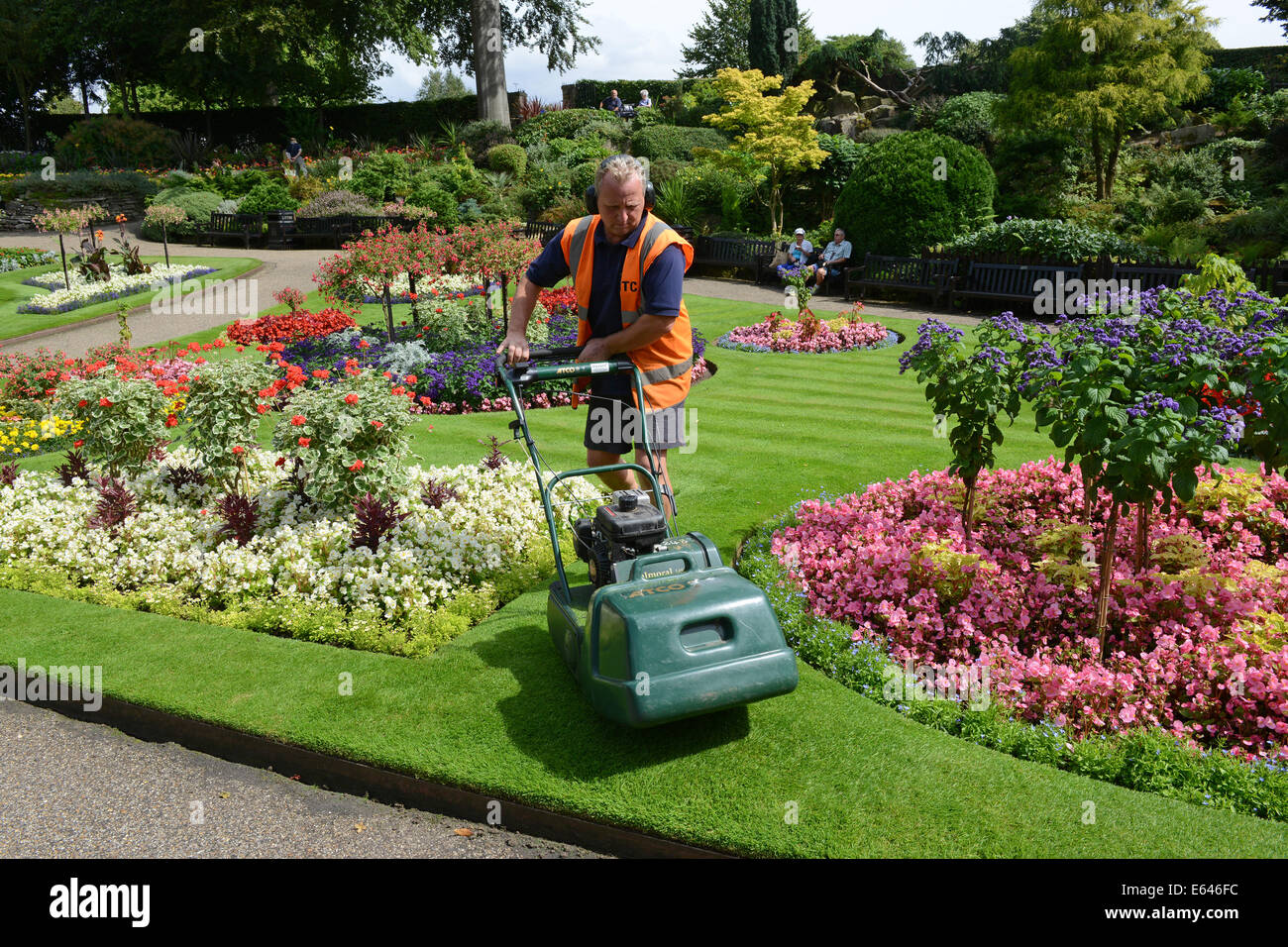 Council gardener in the Dingle gardens in the Quarry a public park in Shrewsbury Uk Stock Photo