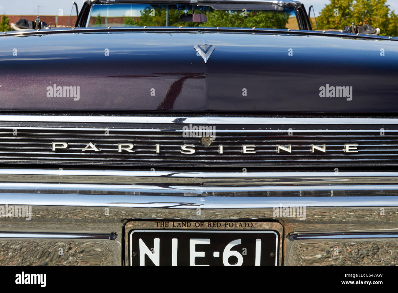 1960s Pontiac Parisienne rear detail Stock Photo