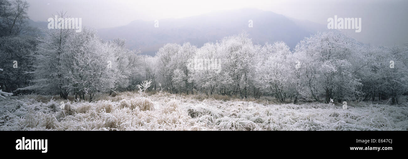 Winter, Grasmere, Cumbria, UK Stock Photo
