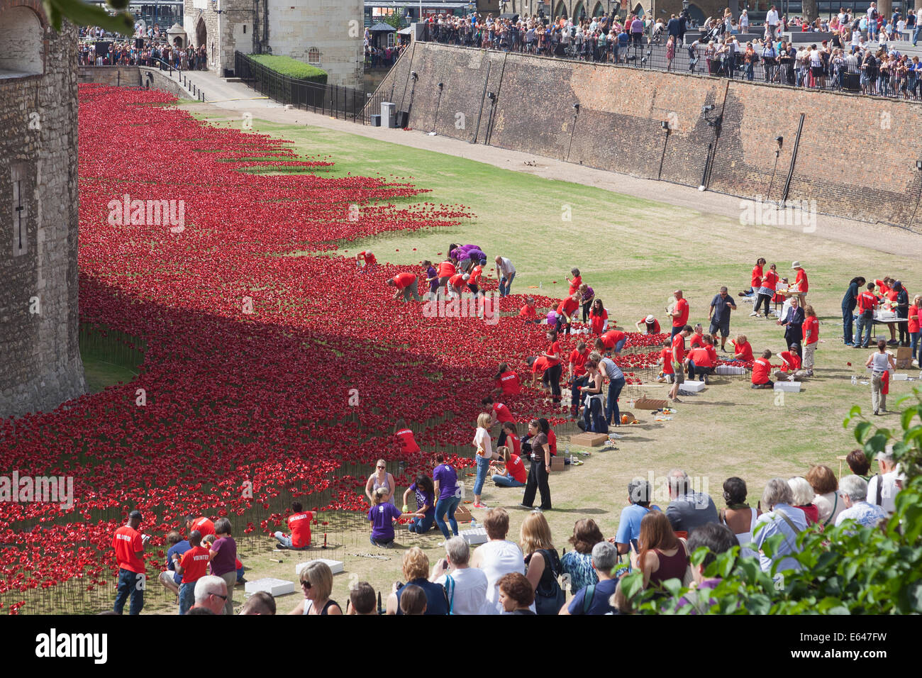 Crowds watching volunteers 'planting' commemorative ceramic poppies in the Tower of London moat, August 2014 Stock Photo