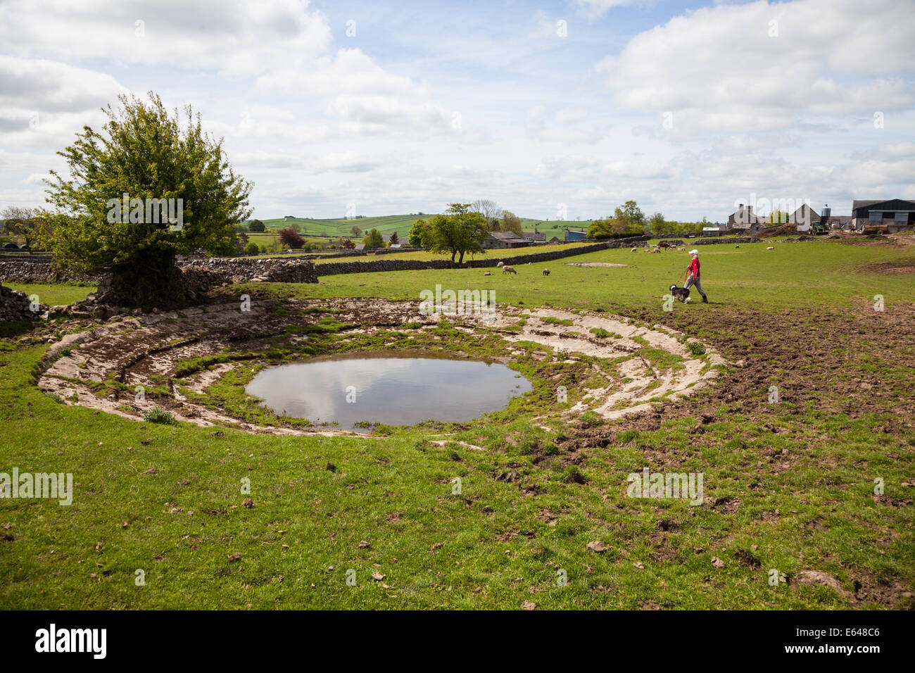 A woman walking with her dog next to a dew pond at Alstonefield, Staffordshire, England, UK Stock Photo