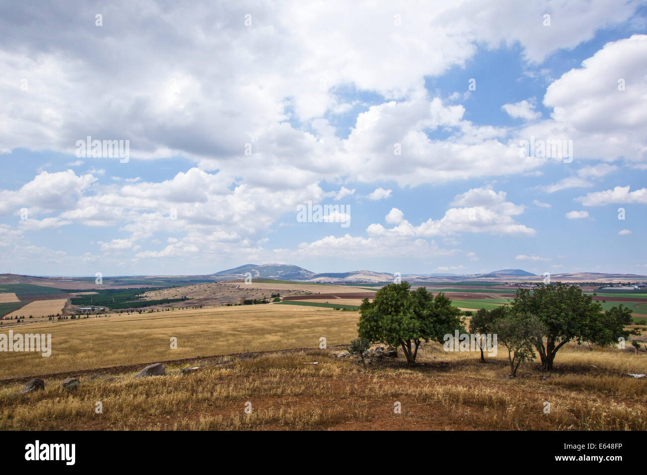Israel, Lower Galilee Ramat Hatzviam (Antelope Plain) Landscape Part of Issachar plains Stock Photo