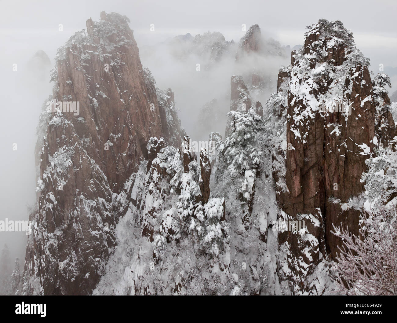 Snow, Huangshan or Yellow Mountains, Anhui Province, China Stock Photo