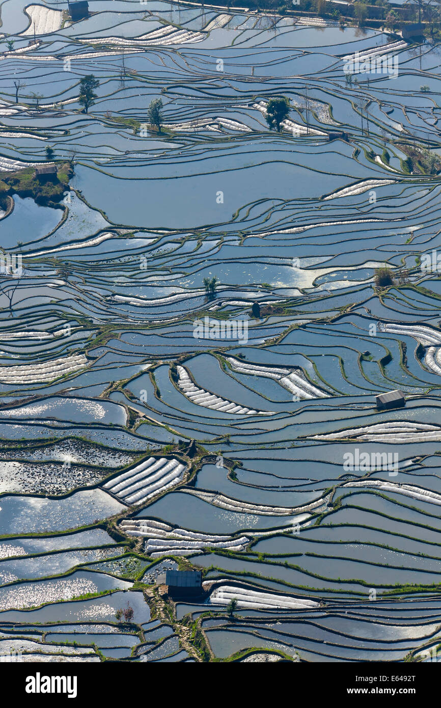 Reflections of water filled rice terraces, Yuanyang County, Honghe, Yunnan Province, China Stock Photo